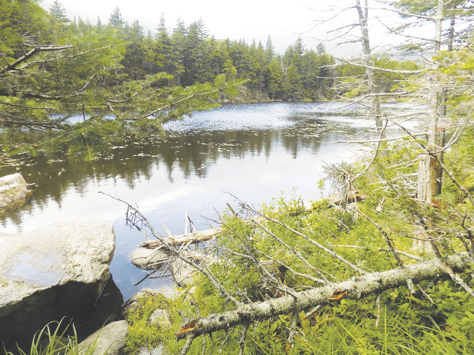 Cool off at Lost Pond